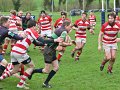 Monaghan 1st XV Vs Randalstown March 17th 2012-33